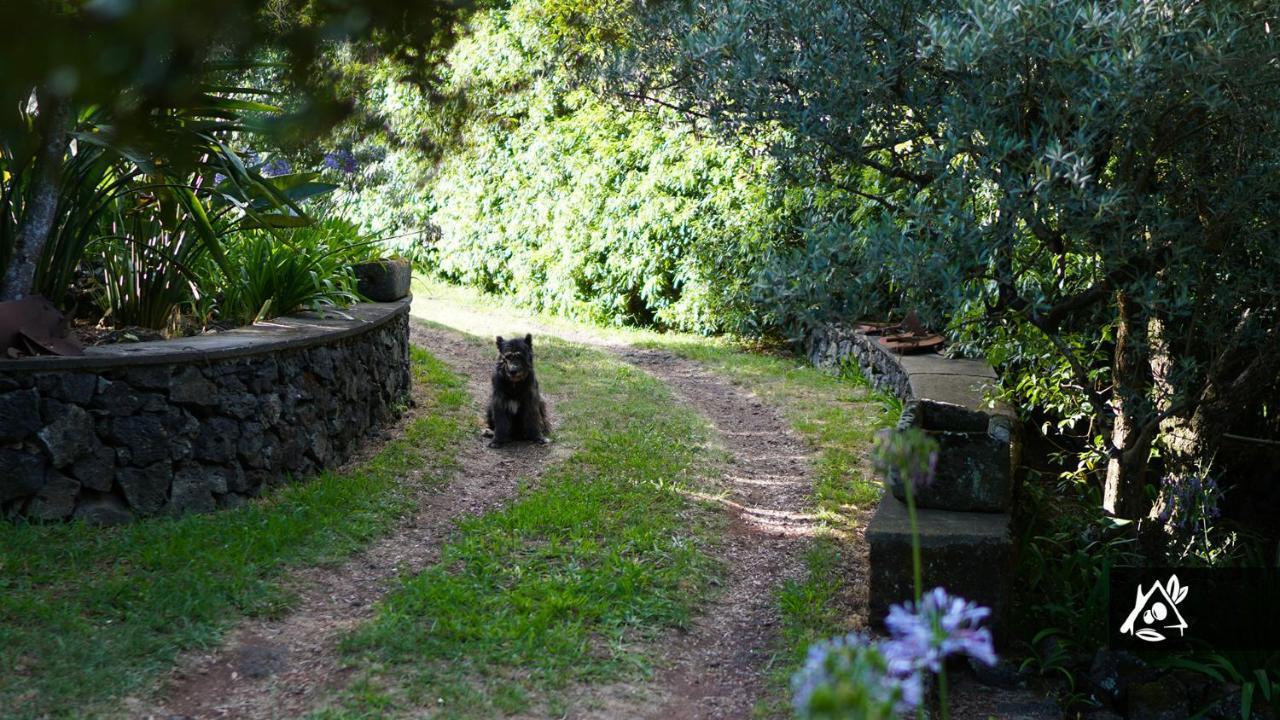 فيلا Quinta Do Paraiso Porto Martins المظهر الخارجي الصورة