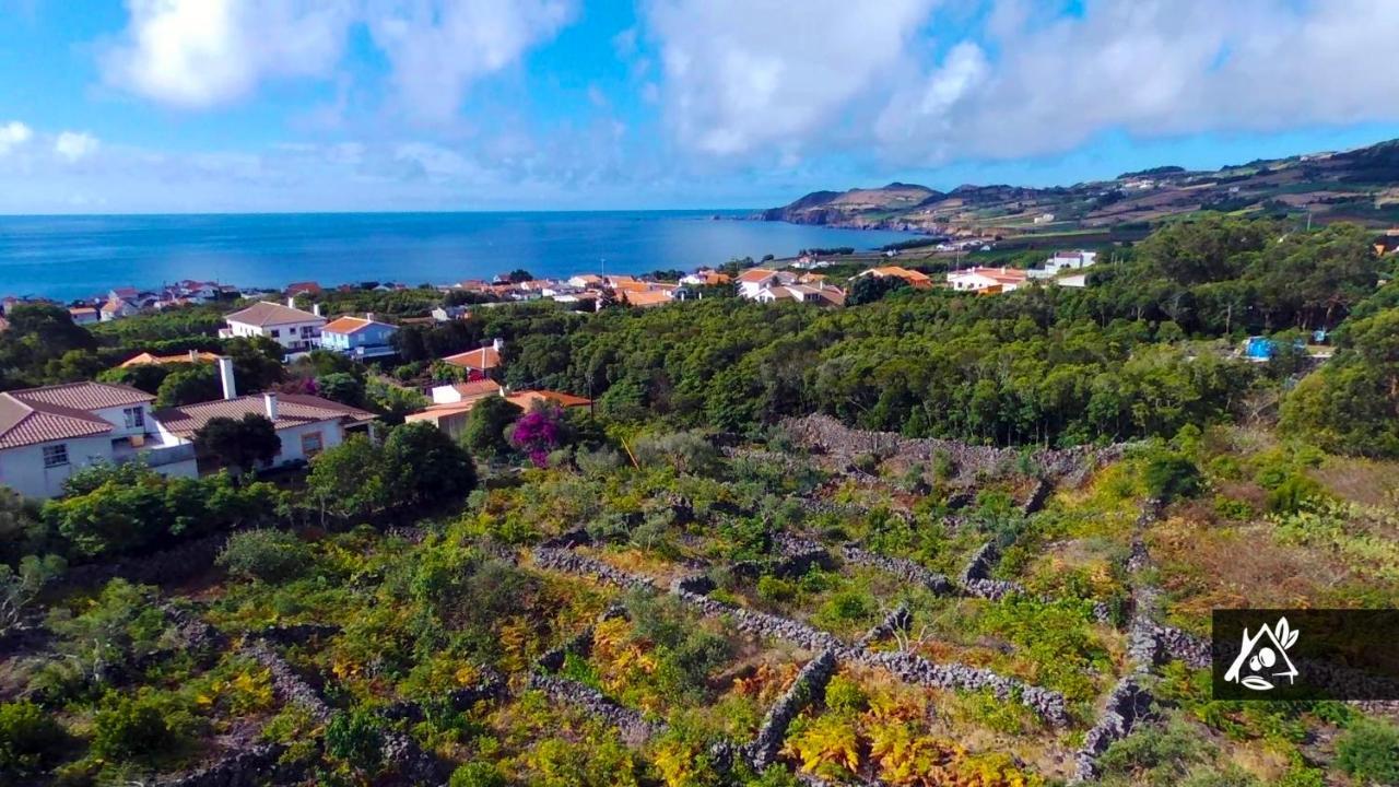 فيلا Quinta Do Paraiso Porto Martins المظهر الخارجي الصورة