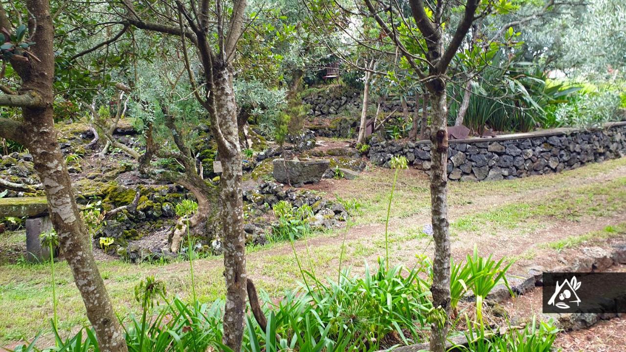 فيلا Quinta Do Paraiso Porto Martins المظهر الخارجي الصورة