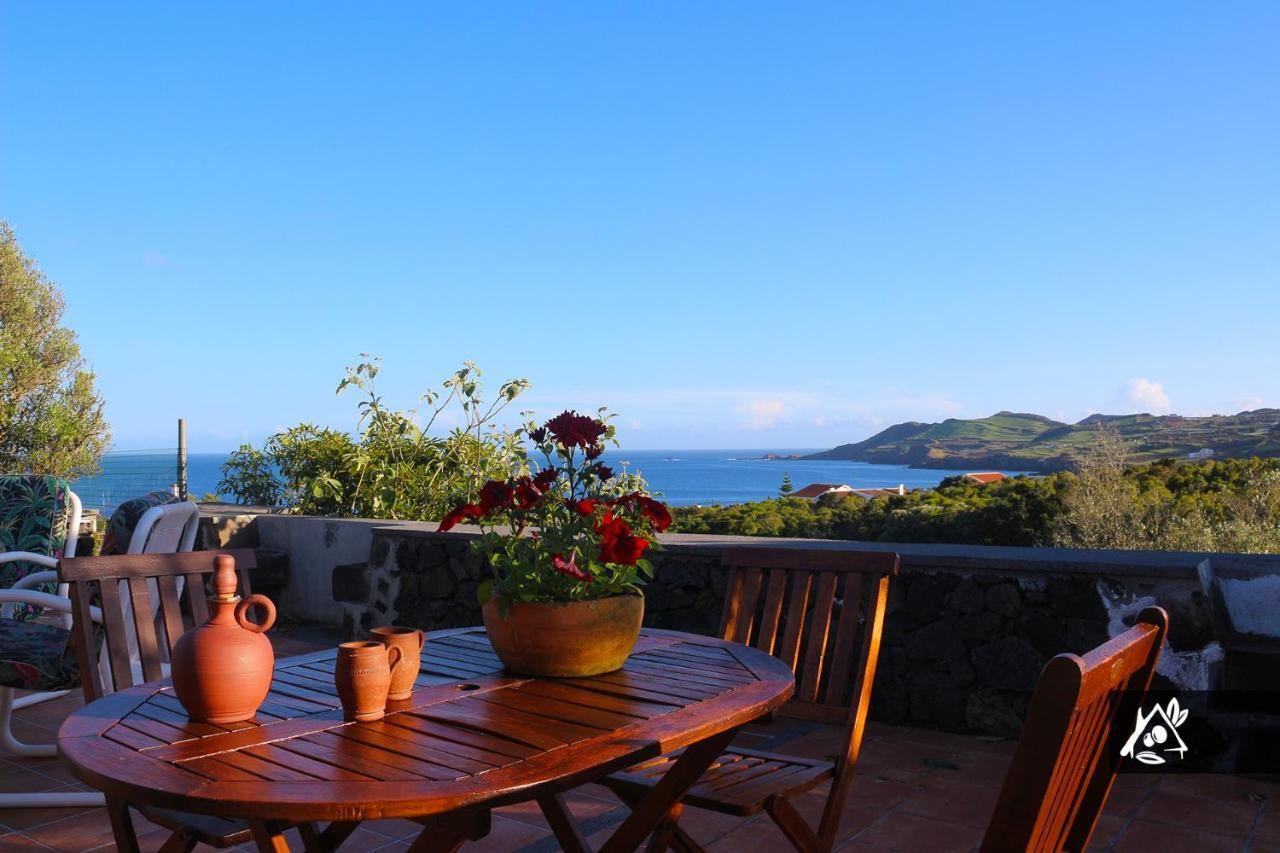 فيلا Quinta Do Paraiso Porto Martins المظهر الخارجي الصورة