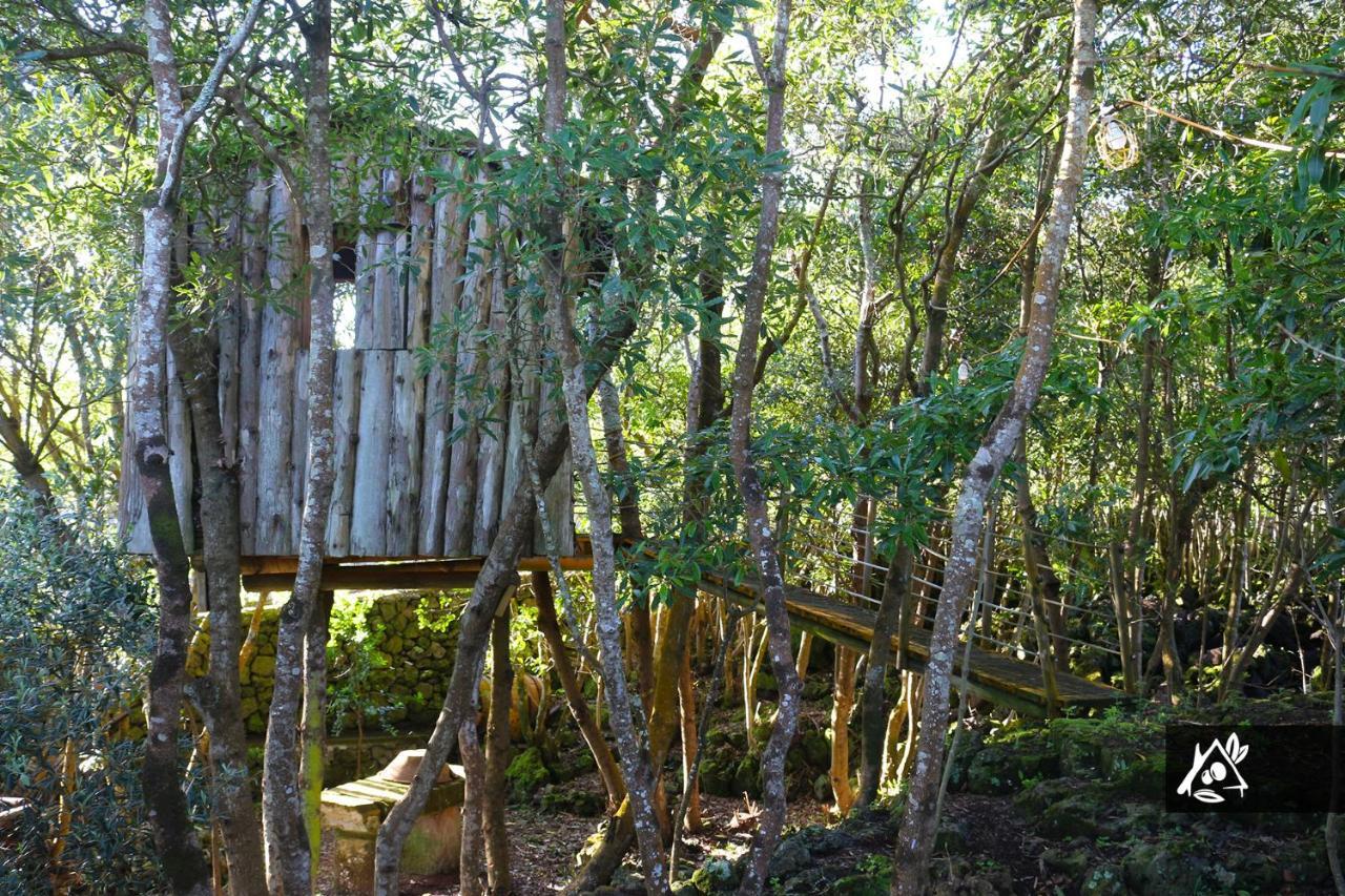 فيلا Quinta Do Paraiso Porto Martins المظهر الخارجي الصورة